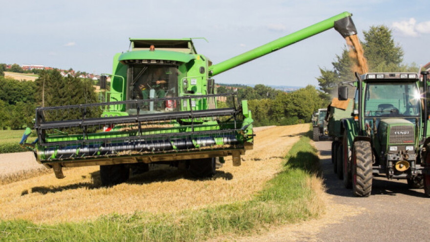 Oporavlja se proizvodnja žitarica, i dalje ispod prosjeka