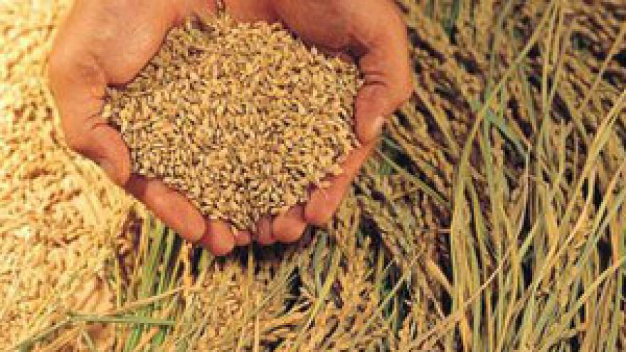 Strah od nepovoljnih vremenskih prilika podigao cijene žitarica i ulja