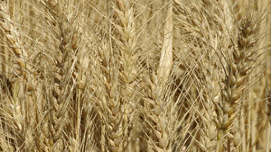 Svjetska banka zabrinuta zbog rasta cijena hrane