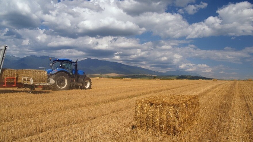 Žitnica Hrvatske se premješta u planine?