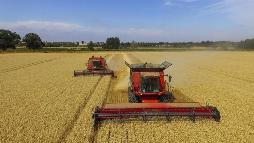 Raste svjetska proizvodnja, potrošnja i snabdjevenost pšenicom?