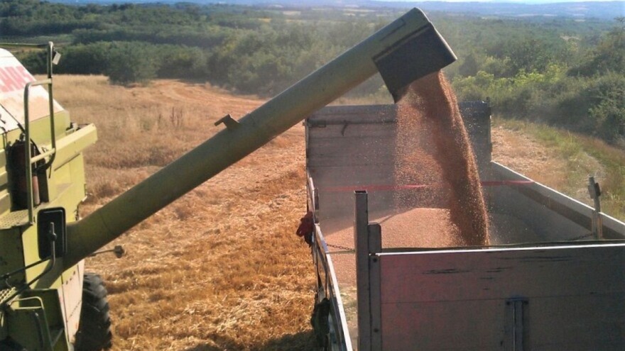 Isplaćeno oko 4 miliona KM podsticaja za pšenicu