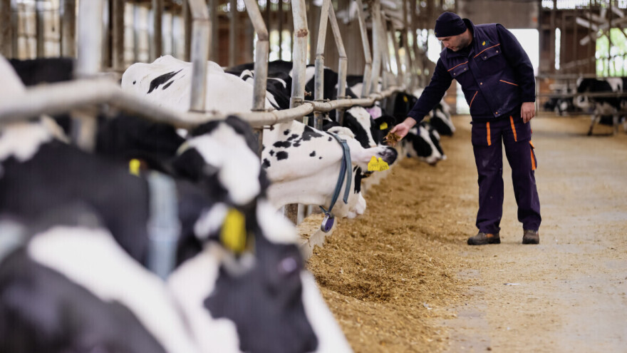 Žito grupa godišnje proizvede više od  20 milijuna litara mlijeka