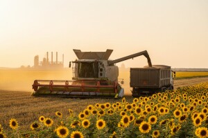 Žito ponudilo najvišu cijenu suncokreta