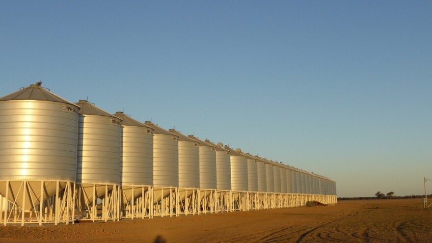 Ruski izvoznici žitarica fokusirali se na pšenicu