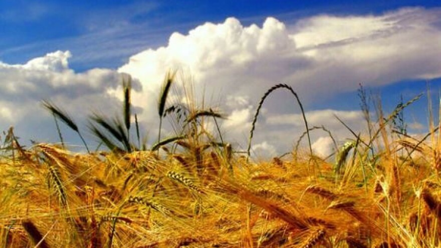 “Žito” kupuje potraživanja PPK Valpovo?