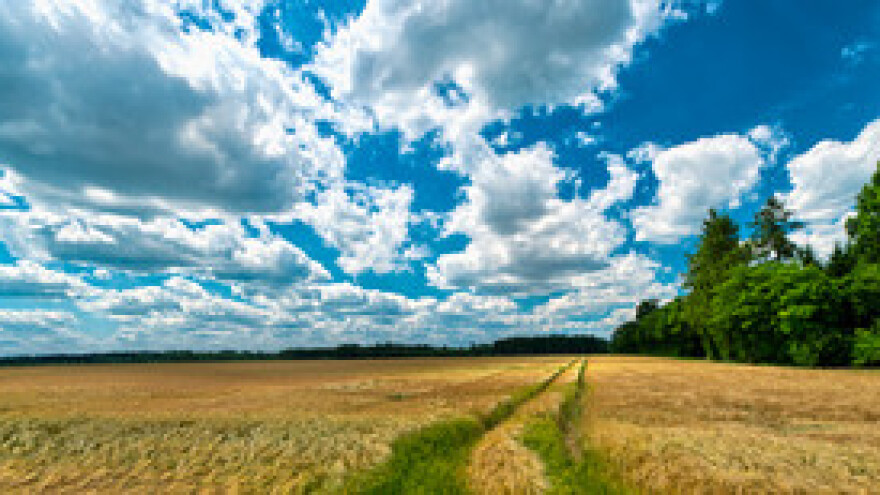 Novosti sa svjetskog tržišta žitarica i uljarica