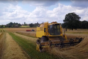 Kako živi malč djeluje na proizvodnju žitarica?