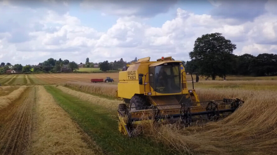 Kako živi malč djeluje na proizvodnju žitarica?