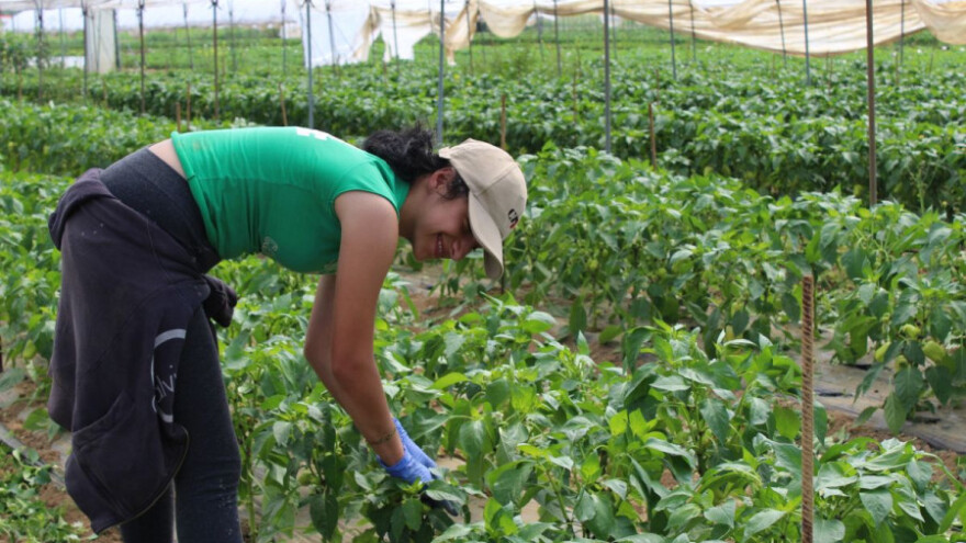 Poljoprivrednik je motor revitalizacije sela