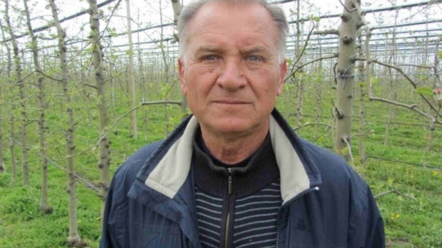 Biti Nole u jabučnjaku