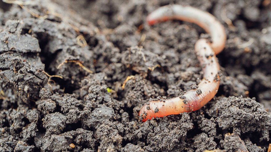 Živo zemljište je osnova poljoprivredne proizvodnje
