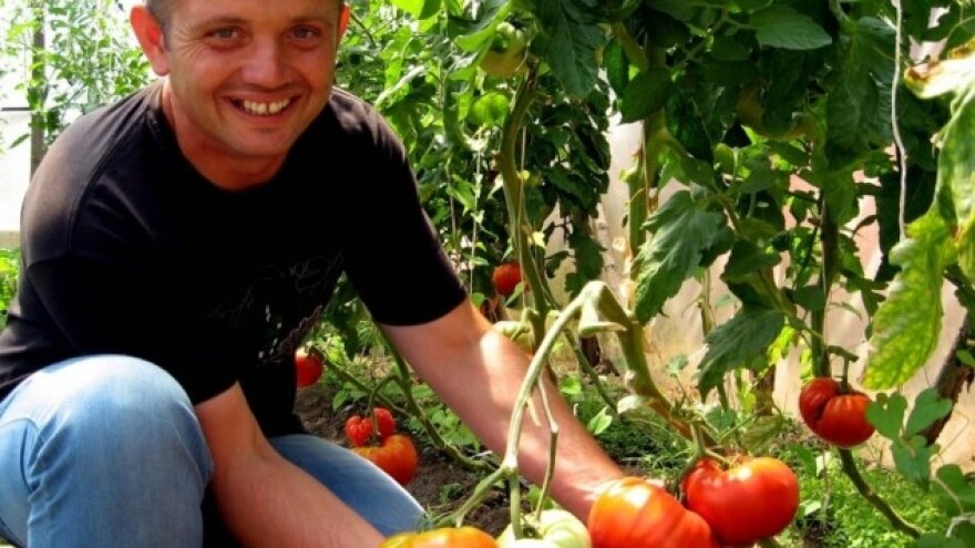 Iz bakinog kredenca rehabilitovao jabučar