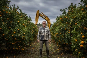 Život za mandarine