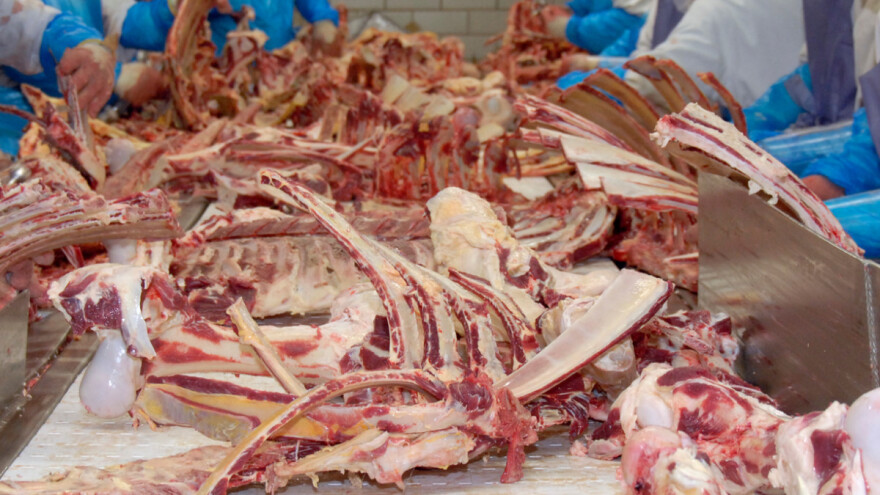 U toku je izrada Nacrta o objektima za sakupljanje i uništavanje životinjskih lešina i proizvoda životinjskog porijekla