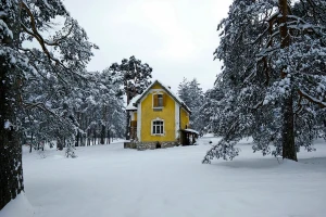 Sneg od vikenda