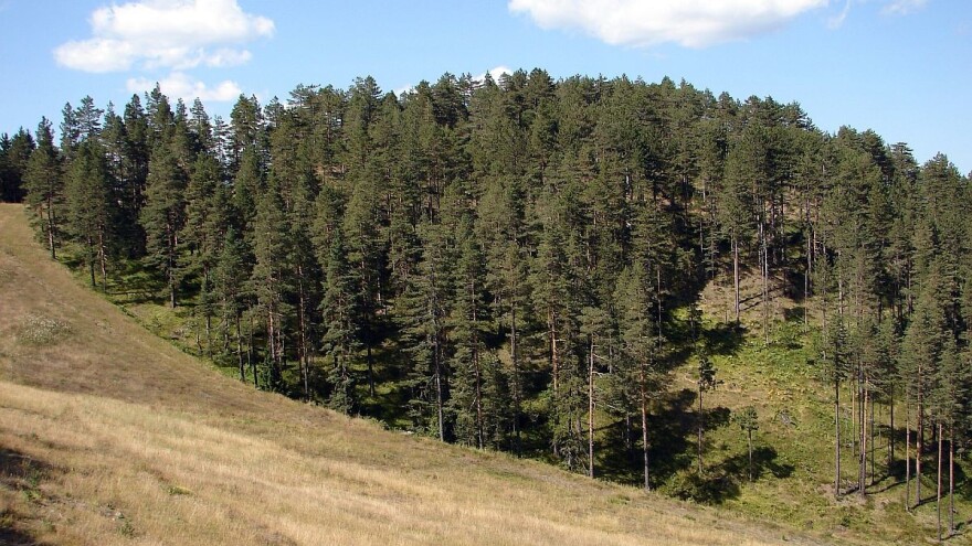 Uskoro naplata eko takse i na Zlatiboru