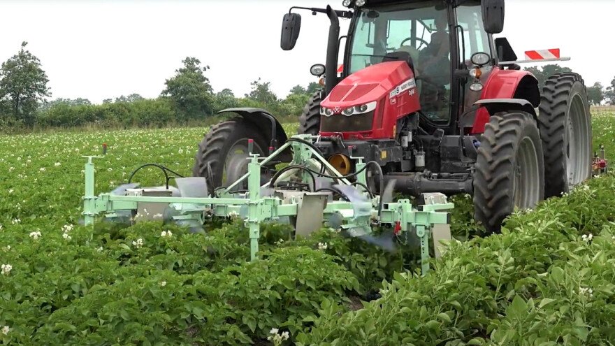 Izumljen hvatač krumpirovih zlatica - pogledajte kako radi