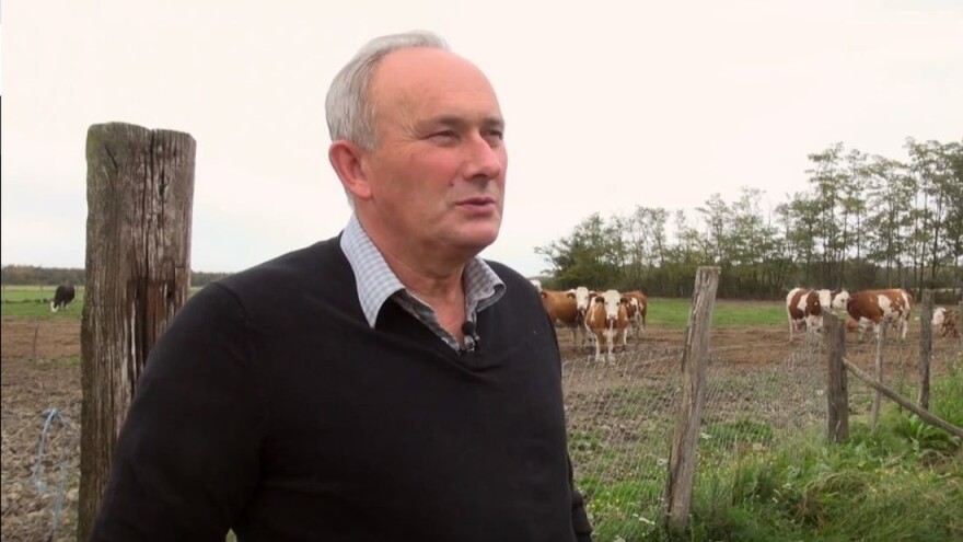 Zlatko Bradić: Vrlo teško se nosimo s cijenom mlijeka koja je katastrofalna