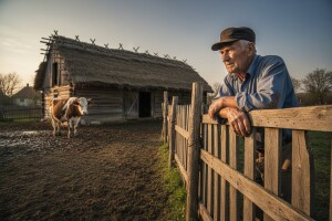 Zlatko Dominiković je bio u pravu