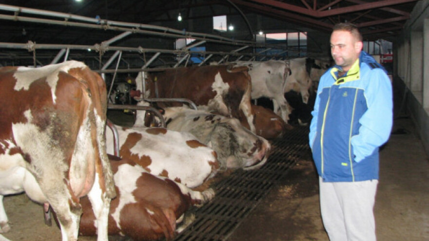 Godišnje isporuče pola miliona litara mlijeka!