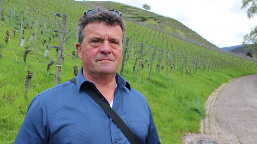 Nijemci nekada nisu htjeli čuti za maslinovo ulje, a danas ga naručuju skoro svaki mjesec