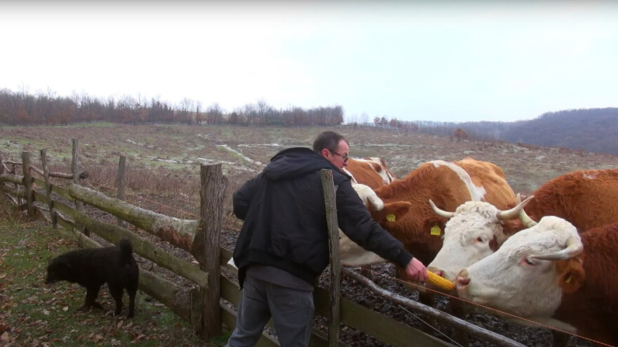 Na imanju od 50 hektara živi preko 400 životinja Zlatka Ranogajeca