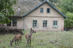 Zelena Baranja: Ozelenjivanje turističke ponude