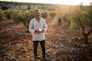 Zlatna medalja obitelji Rebić za ekstra djevičansko maslinovo ulje