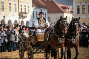 Zlatne niti na Šokačkom sijelu