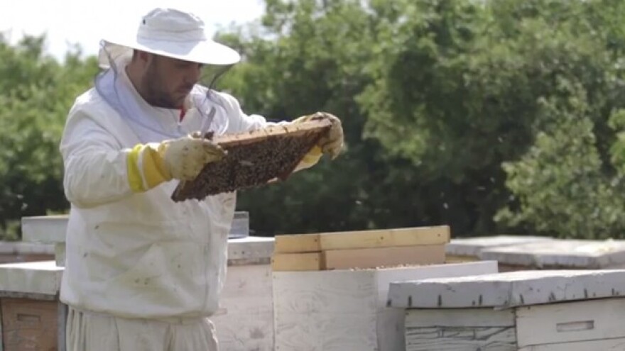 Proizvodnjom hrane za pčele osvaja tržište