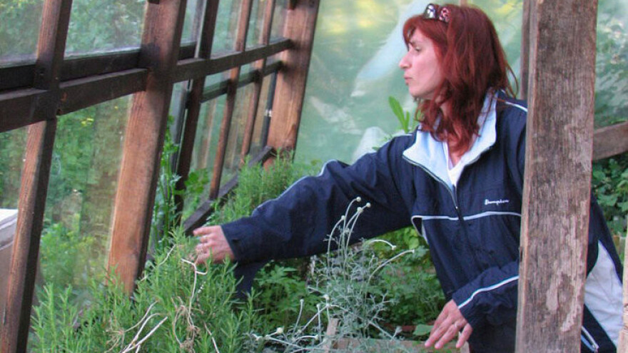 Permakulturni pokret je u porastu