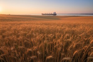 Značajan rast trgovinske razmene između Rusije i Kine
