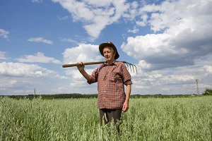 I eko uzgojem do 5 tona zobi po hektaru!