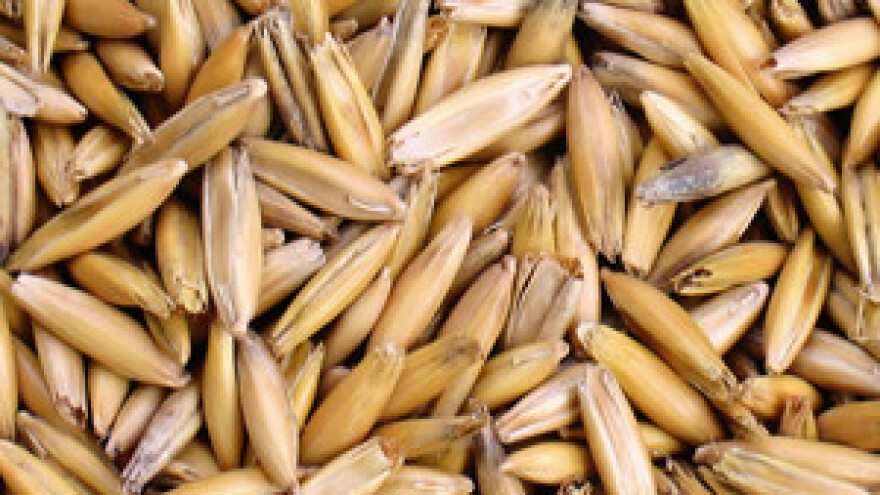 Eko farma u Ličkom polju