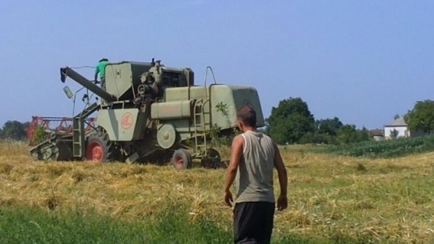 I eko uzgojem do 5 tisuća kg zobi po hektaru!