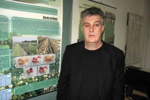 Skok cene krompira