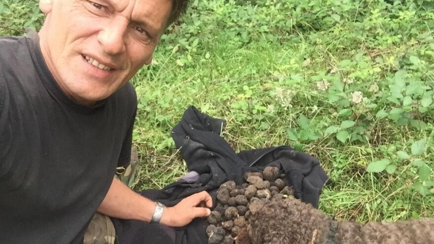 Zoran Davidović u lovu na skupocjene tartufe: Crno blago u šumama BiH