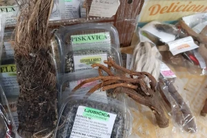 Gdje leži ljekovitost hajdučke trave i koje bilje se sve teže nalazi?