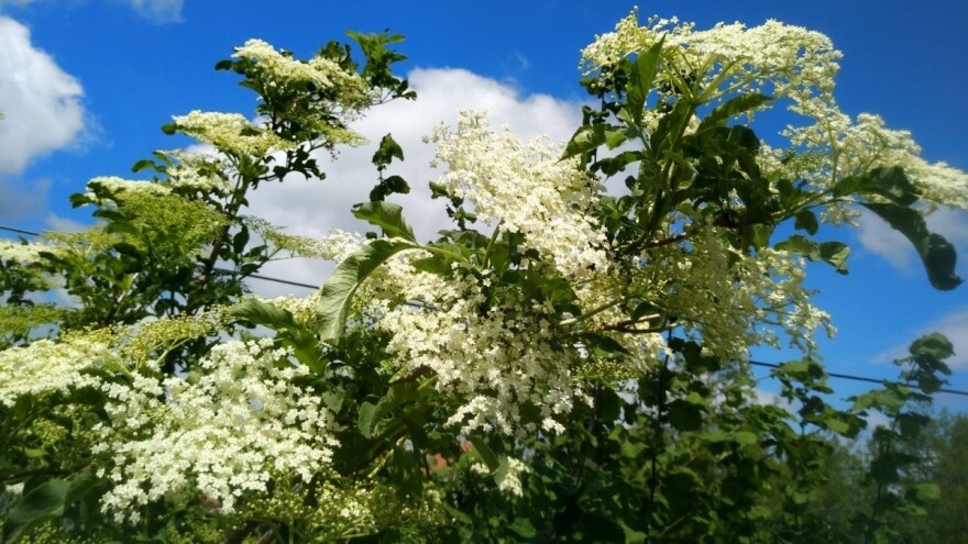Iako je pred nama pravi proljećni vikend, jutra su i dalje svježija