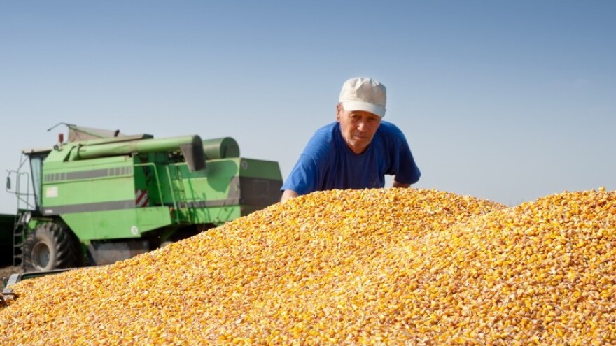 Bonus za najproduktivnije poljoprivrednike?