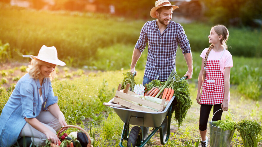 Budućnost je na selu! Što ruralnim područjima donosi novi ZPP?