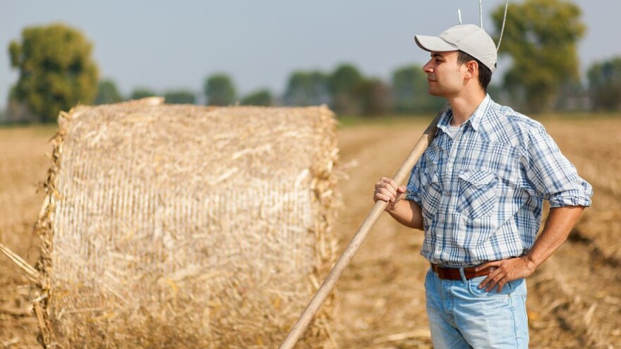 Poticaji malim i srednjim poljoprivrednicima - tako traže EU parlamentarci