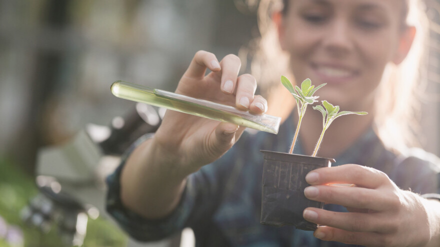 Objavljen reformski paket ZPP-a, Ministarstvo poljoprivrede podržava namjeru osiguranja više novca za mlade