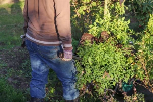 Poljoprivrednici zavrjeđuju poštenije plaćanje i potvrdu da im se rad cijeni