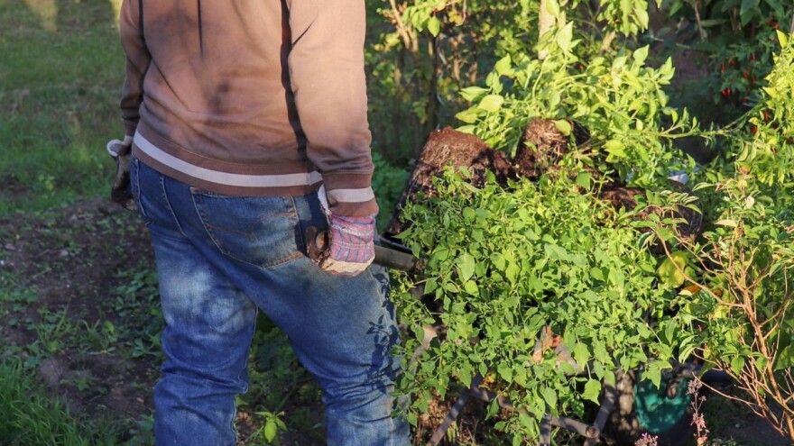 Poljoprivrednici zaslužuju poštenije plaćanje i potvrdu da im se rad ceni