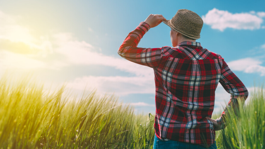 Budućnost ZPP-a u potencijalnom problemu: strateško planiranje poljoprivrede vraća se državama članicama