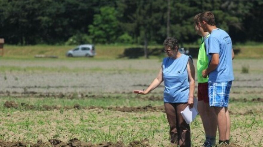 Proizvođači organizovano odlučuju o greening-u!