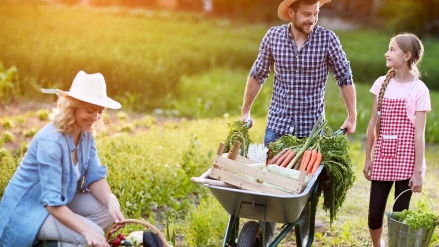 Budućnost je na selu! Šta misli EU ?
