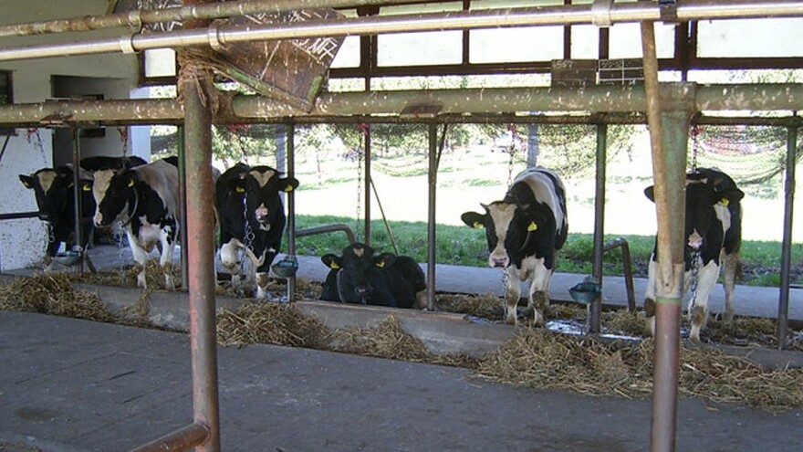 Uz rad na zatvorskoj ekonomiji vreme brže prolazi